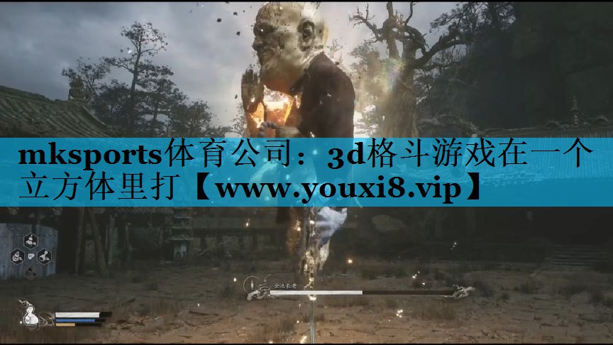 mksports体育公司：3d格斗游戏在一个立方体里打