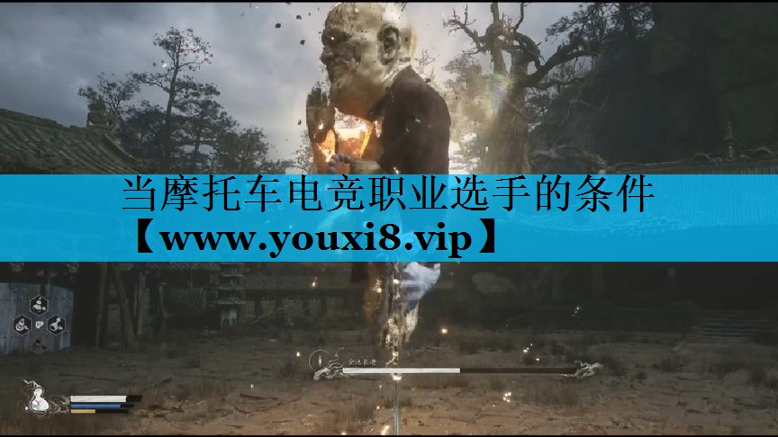 <strong>当摩托车电竞职业选手的条件</strong>